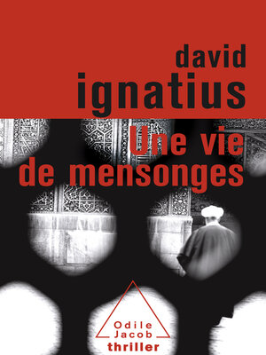 cover image of Une vie de mensonges